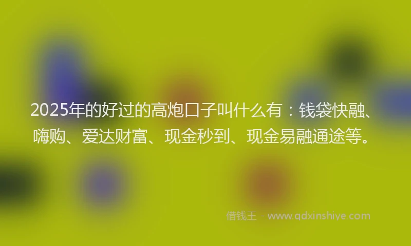 2025年的好过的高炮口子叫什么有：钱袋快融、嗨购、爱达财富、现金秒到、现金易融通途等。