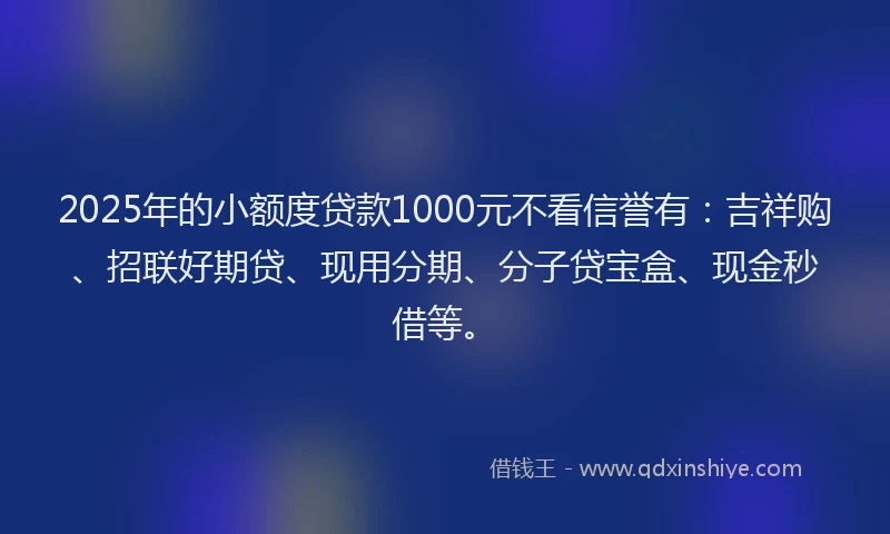 2025年的小额度贷款1000元不看信誉有：吉祥购、招联好期贷、现用分期、分子贷宝盒、现金秒借等。