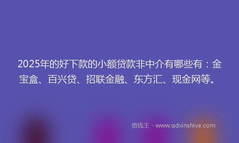 2025年的好下款的小额贷款非中介有哪些有：金宝盒、百兴贷、招联金融、东方汇、现金网等。