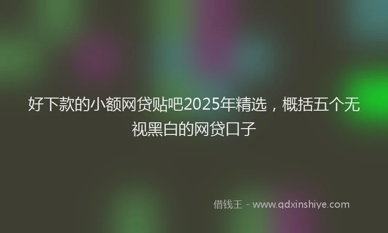 好下款的小额网贷贴吧2025年精选，概括五个无视黑白的网贷口子
