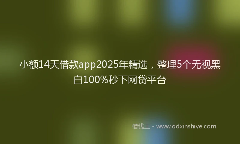 小额14天借款app2025年精选，整理5个无视黑白100%秒下网贷平台