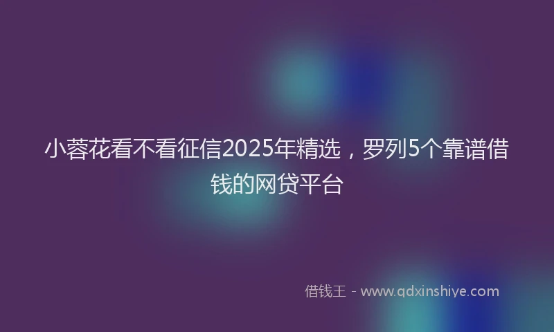 小蓉花看不看征信2025年精选，罗列5个靠谱借钱的网贷平台