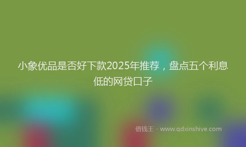 小象优品是否好下款2025年推荐，盘点五个利息低的网贷口子