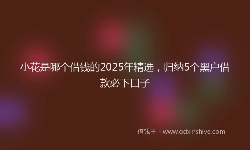小花是哪个借钱的2025年精选，归纳5个黑户借款必下口子