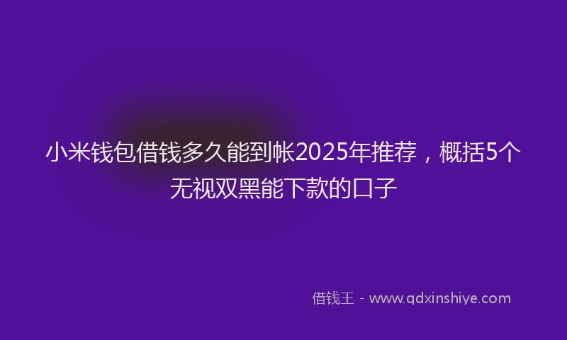 小米钱包借钱多久能到帐2025年推荐，概括5个无视双黑能下款的口子