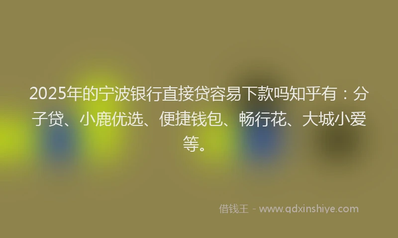 2025年的宁波银行直接贷容易下款吗知乎有：分子贷、小鹿优选、便捷钱包、畅行花、大城小爱等。