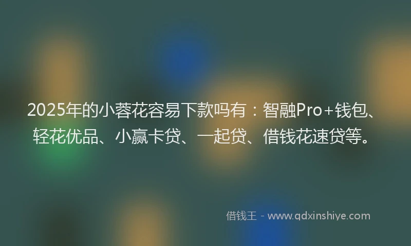 2025年的小蓉花容易下款吗有：智融Pro+钱包、轻花优品、小赢卡贷、一起贷、借钱花速贷等。