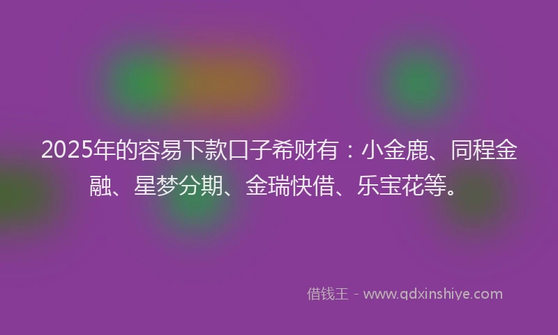 2025年的容易下款口子希财有：小金鹿、同程金融、星梦分期、金瑞快借、乐宝花等。