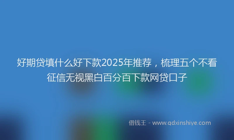 好期贷填什么好下款2025年推荐，梳理五个不看征信无视黑白百分百下款网贷口子