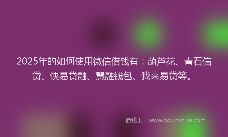2025年的如何使用微信借钱有：葫芦花、青石信贷、快易贷融、慧融钱包、我来易贷等。