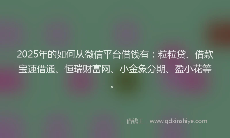 2025年的如何从微信平台借钱有：粒粒贷、借款宝速借通、恒瑞财富网、小金象分期、盈小花等。