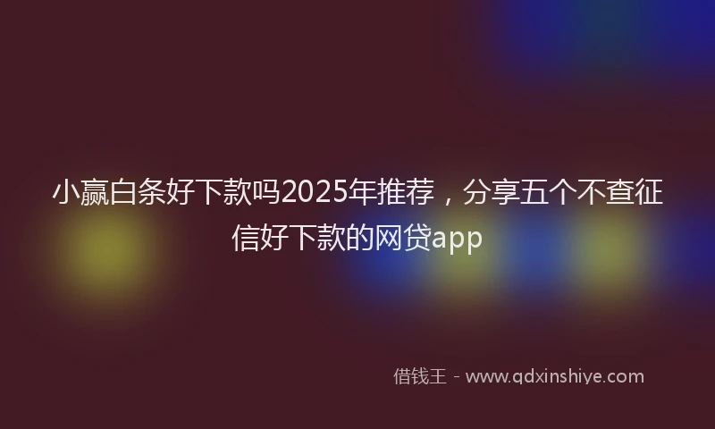 小赢白条好下款吗2025年推荐，分享五个不查征信好下款的网贷app