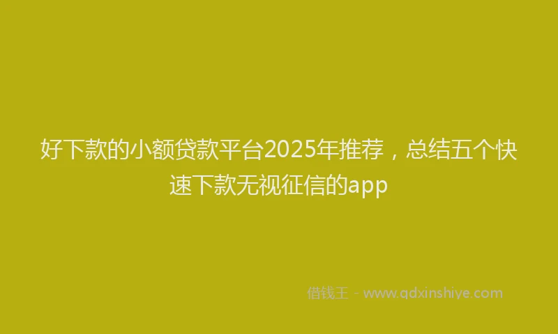 好下款的小额贷款平台2025年推荐，总结五个快速下款无视征信的app