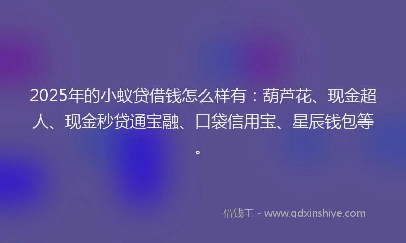 2025年的小蚁贷借钱怎么样有：葫芦花、现金超人、现金秒贷通宝融、口袋信用宝、星辰钱包等。