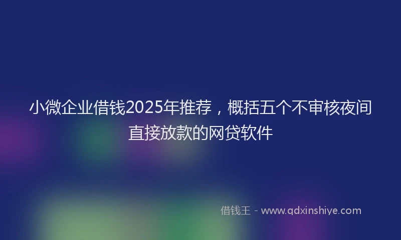 小微企业借钱2025年推荐，概括五个不审核夜间直接放款的网贷软件