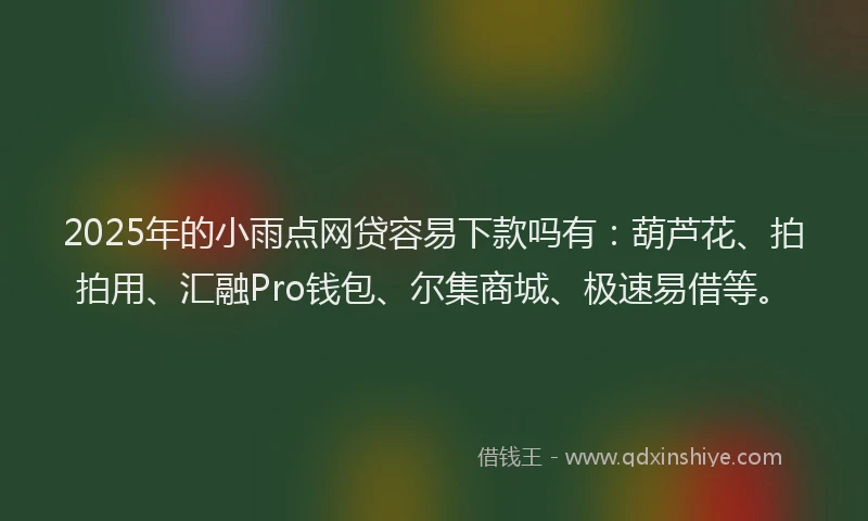 2025年的小雨点网贷容易下款吗有：葫芦花、拍拍用、汇融Pro钱包、尔集商城、极速易借等。