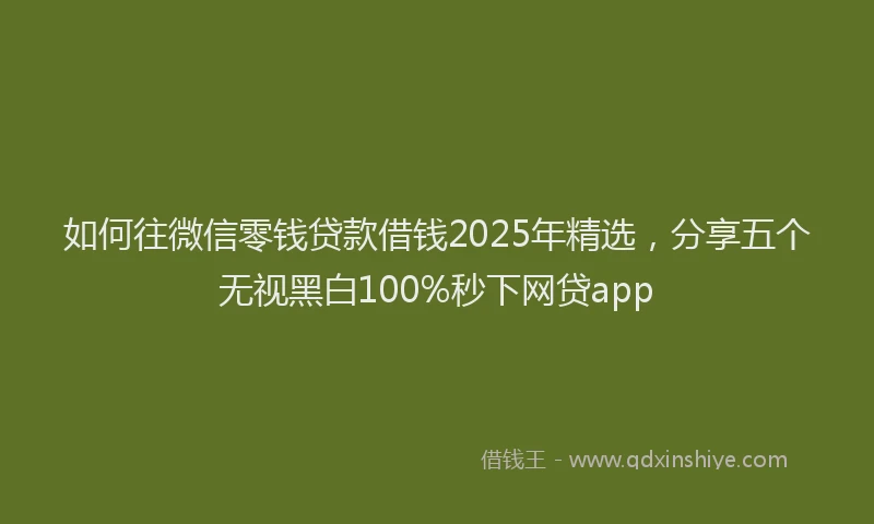 如何往微信零钱贷款借钱2025年精选，分享五个无视黑白100%秒下网贷app