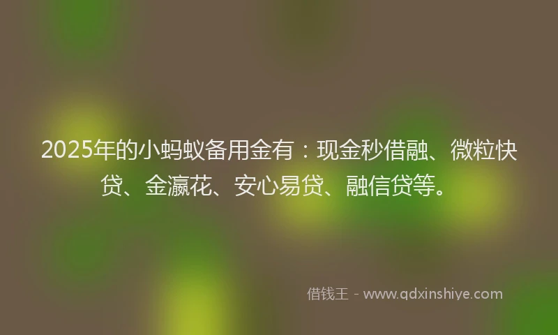 2025年的小蚂蚁备用金有：现金秒借融、微粒快贷、金瀛花、安心易贷、融信贷等。