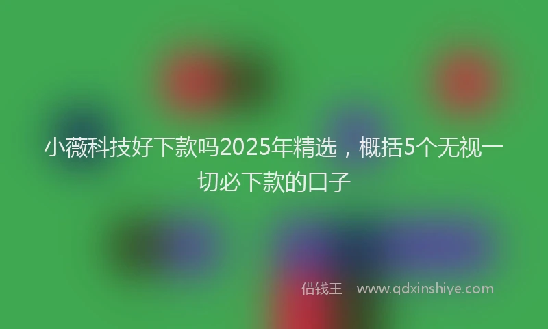 小薇科技好下款吗2025年精选，概括5个无视一切必下款的口子