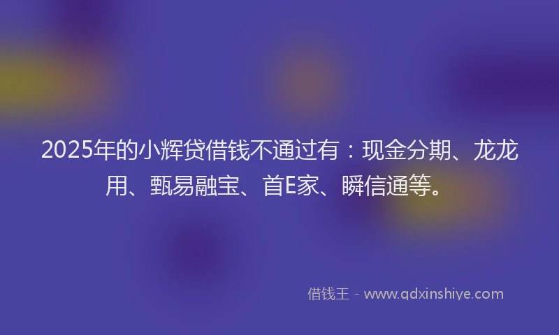 2025年的小辉贷借钱不通过有：现金分期、龙龙用、甄易融宝、首E家、瞬信通等。