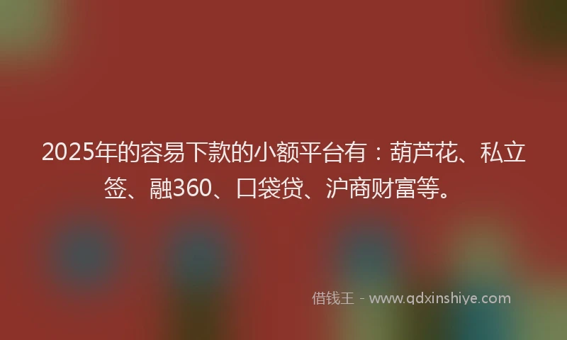 2025年的容易下款的小额平台有：葫芦花、私立签、融360、口袋贷、沪商财富等。