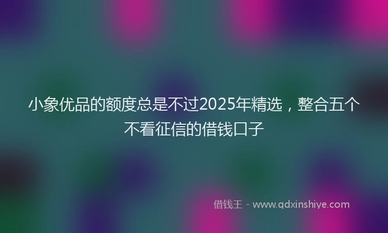 小象优品的额度总是不过2025年精选，整合五个不看征信的借钱口子