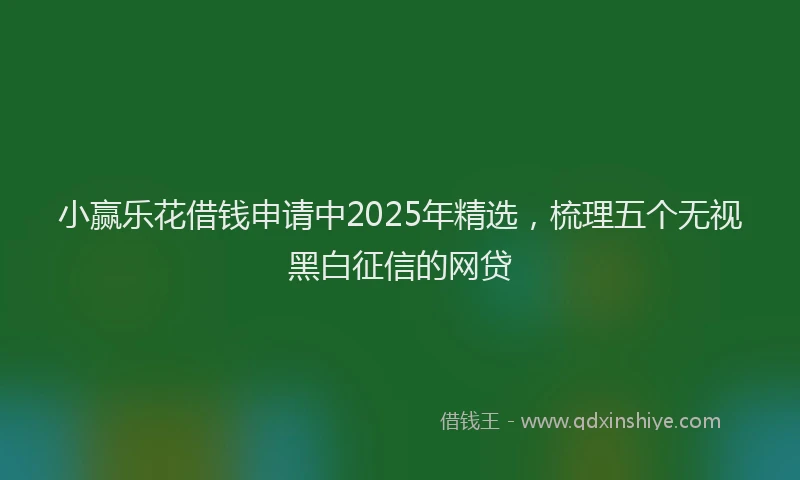 小赢乐花借钱申请中2025年精选，梳理五个无视黑白征信的网贷