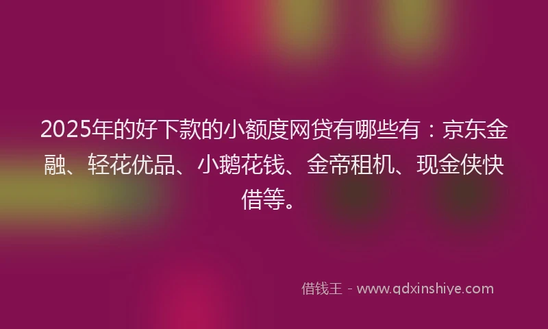2025年的好下款的小额度网贷有哪些有：京东金融、轻花优品、小鹅花钱、金帝租机、现金侠快借等。