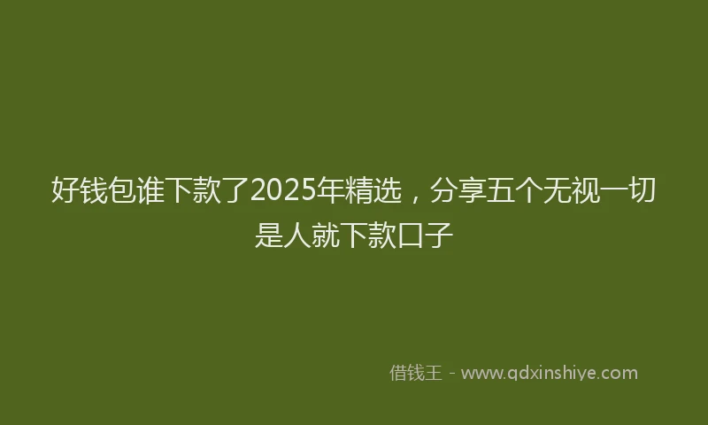 好钱包谁下款了2025年精选，分享五个无视一切是人就下款口子