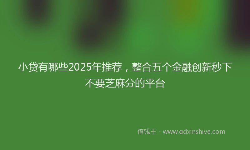 小贷有哪些2025年推荐，整合五个金融创新秒下不要芝麻分的平台