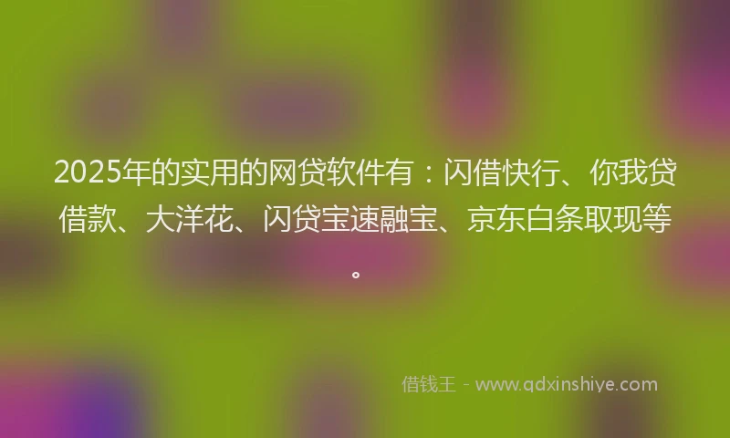 2025年的实用的网贷软件有：闪借快行、你我贷借款、大洋花、闪贷宝速融宝、京东白条取现等。