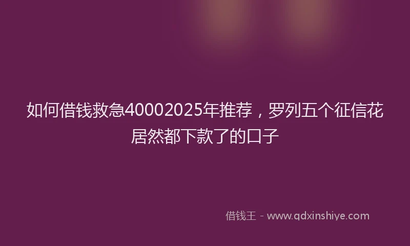 如何借钱救急40002025年推荐，罗列五个征信花居然都下款了的口子