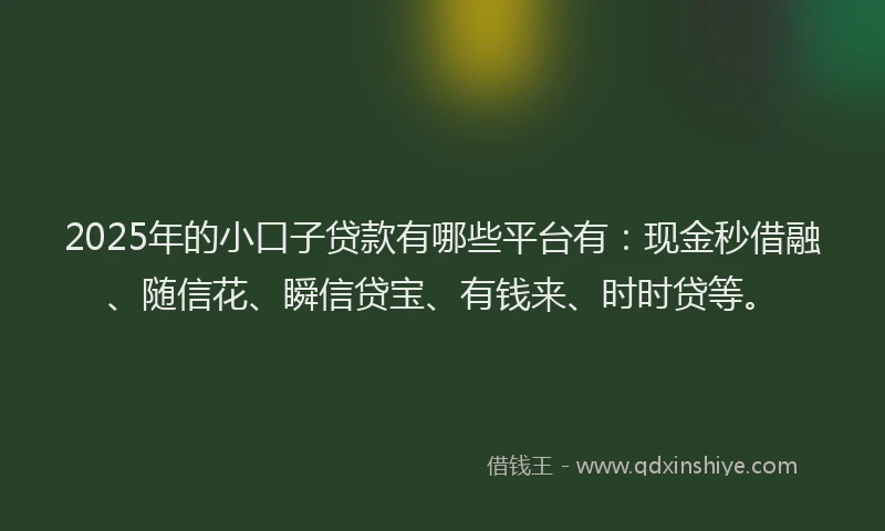 2025年的小口子贷款有哪些平台有:现金秒借融、随信花、瞬信贷宝、有钱来、时时贷等。