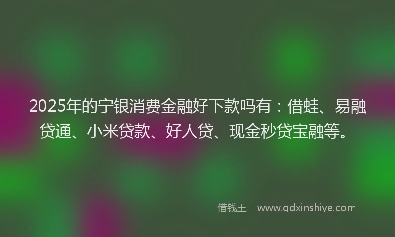 2025年的宁银消费金融好下款吗有：借蛙、易融贷通、小米贷款、好人贷、现金秒贷宝融等。