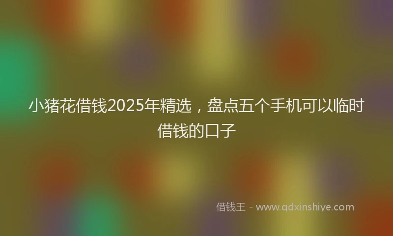 小猪花借钱2025年精选，盘点五个手机可以临时借钱的口子