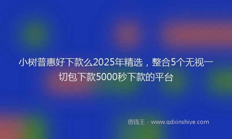 小树普惠好下款么2025年精选，整合5个无视一切包下款5000秒下款的平台