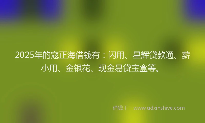 2025年的寇正海借钱有：闪用、星辉贷款通、薪小用、金银花、现金易贷宝盒等。
