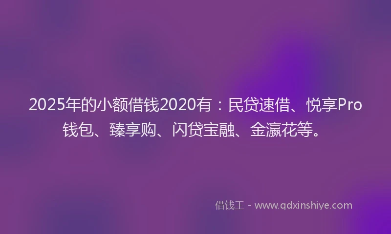 2025年的小额借钱2020有：民贷速借、悦享Pro钱包、臻享购、闪贷宝融、金瀛花等。