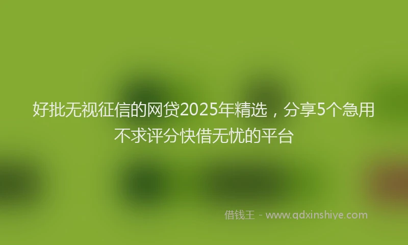 好批无视征信的网贷2025年精选，分享5个急用不求评分快借无忧的平台