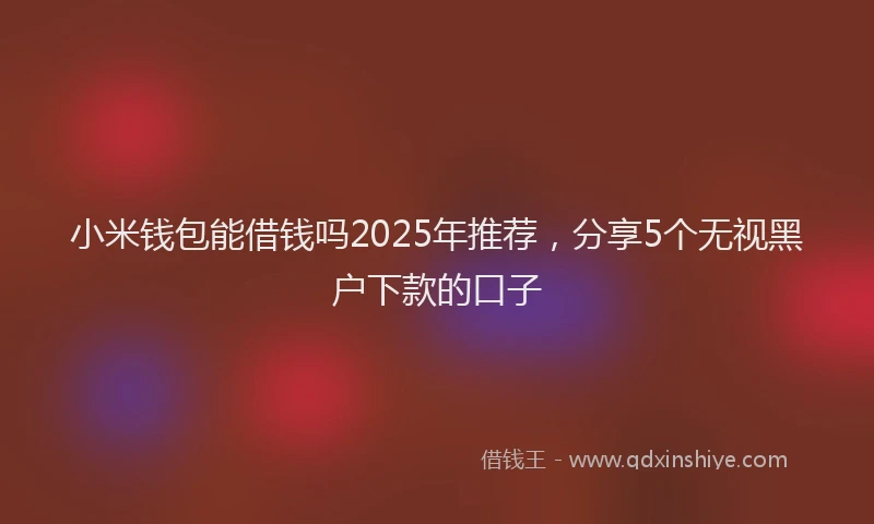 小米钱包能借钱吗2025年推荐，分享5个无视黑户下款的口子