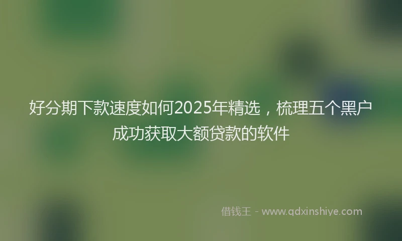 好分期下款速度如何2025年精选，梳理五个黑户成功获取大额贷款的软件