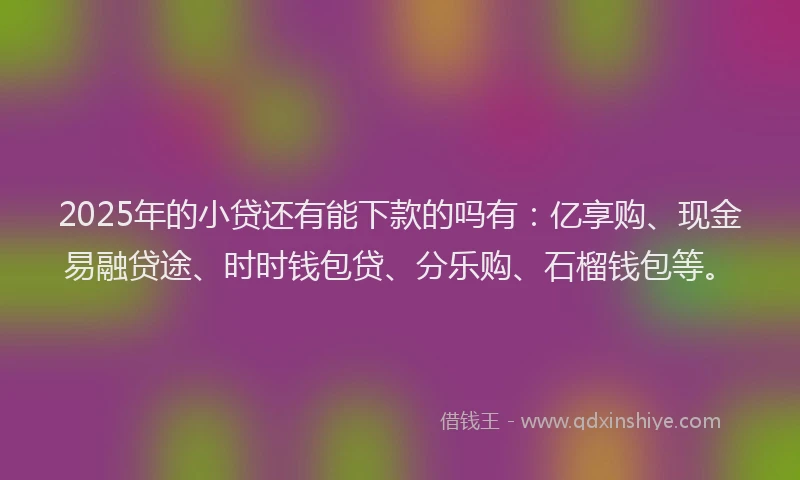 2025年的小贷还有能下款的吗有：亿享购、现金易融贷途、时时钱包贷、分乐购、石榴钱包等。