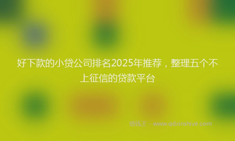好下款的小贷公司排名2025年推荐，整理五个不上征信的贷款平台