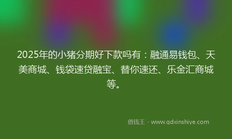2025年的小猪分期好下款吗有：融通易钱包、天美商城、钱袋速贷融宝、替你速还、乐金汇商城等。