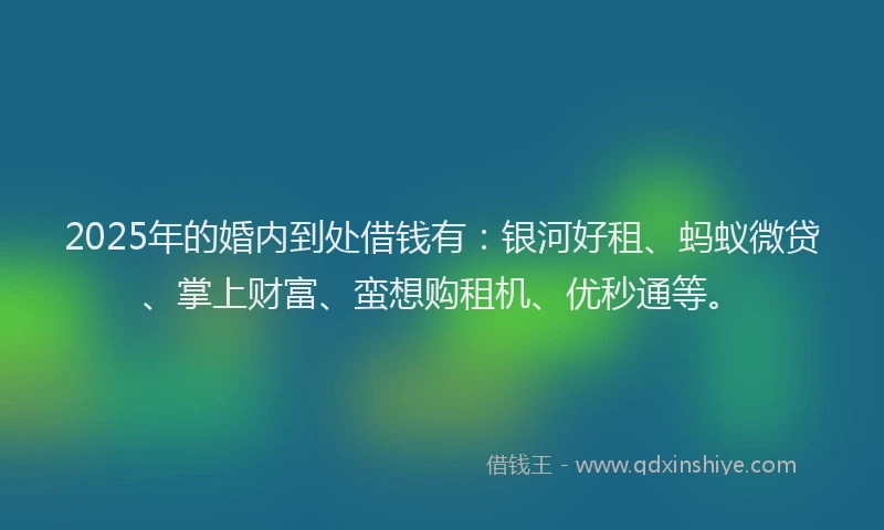 2025年的婚内到处借钱有：银河好租、蚂蚁微贷、掌上财富、蛮想购租机、优秒通等。