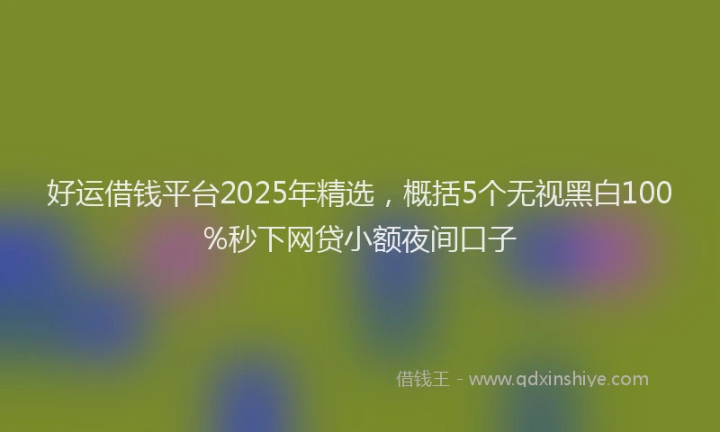 好运借钱平台2025年精选，概括5个无视黑白100%秒下网贷小额夜间口子