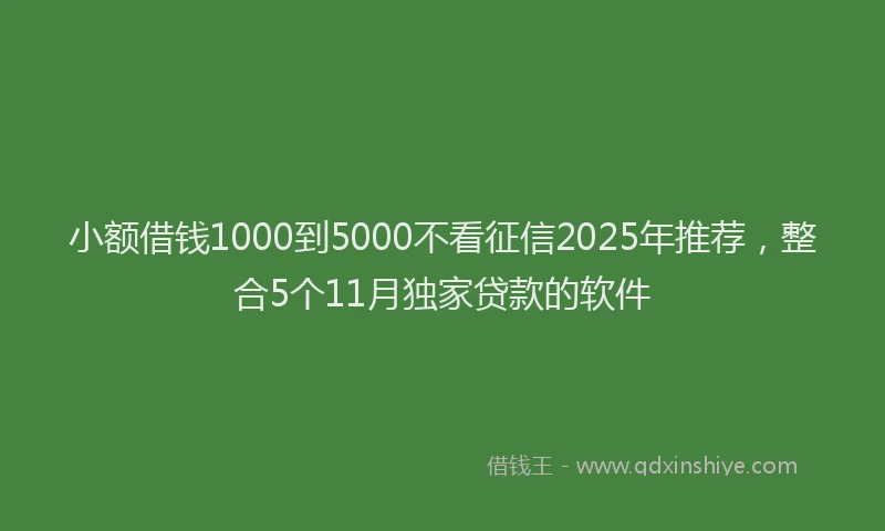 小额借钱1000到5000不看征信2025年推荐,整合5个11月独家贷款的软件