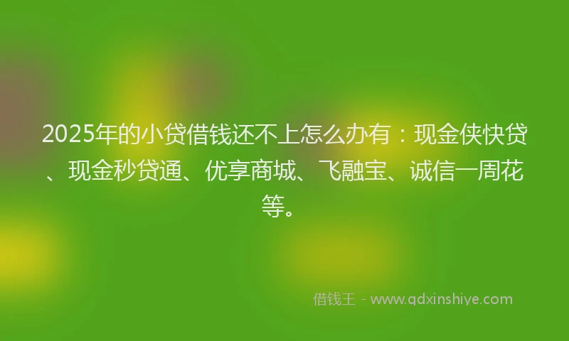 2025年的小贷借钱还不上怎么办有：现金侠快贷、现金秒贷通、优享商城、飞融宝、诚信一周花等。
