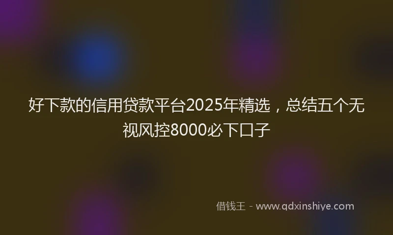 好下款的信用贷款平台2025年精选，总结五个无视风控8000必下口子