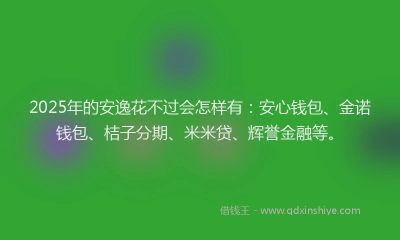 2025年的安逸花不过会怎样有：安心钱包、金诺钱包、桔子分期、米米贷、辉誉金融等。